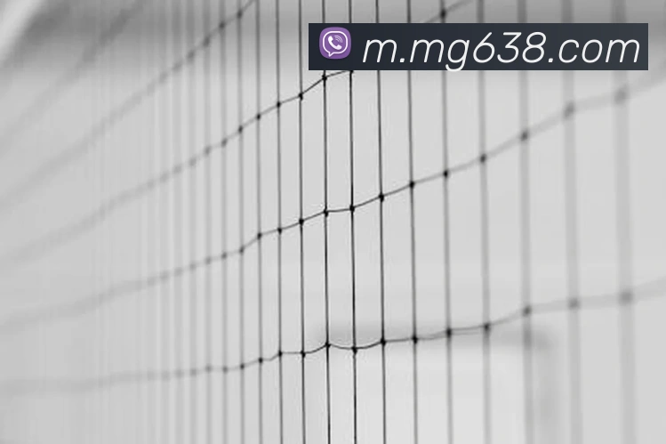 MG娱乐平台官网平台生态图