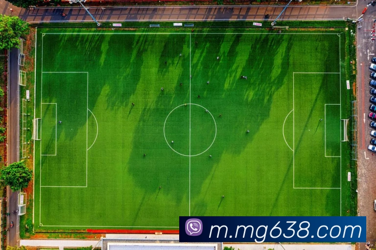 MG娱乐平台官网全站App